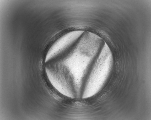 X0000068300596200605122006