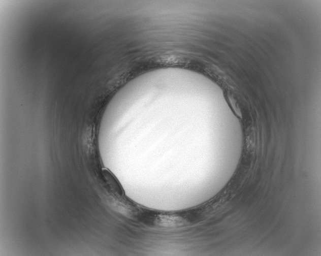 X0000068300605200605122006