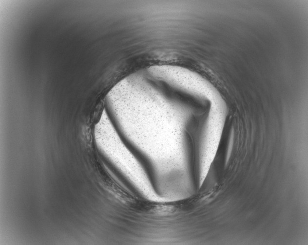 X0000068300609200605122006