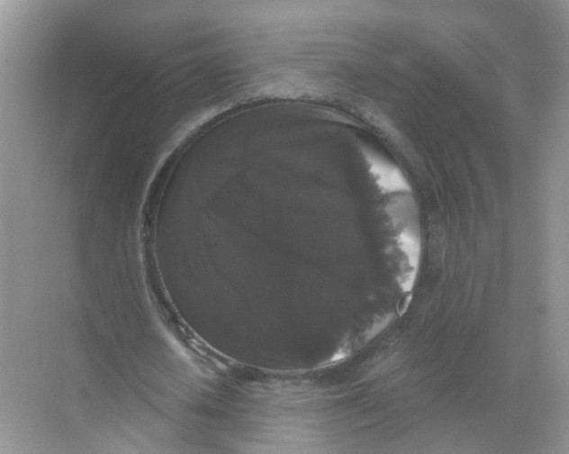 X0000068300626200605122005