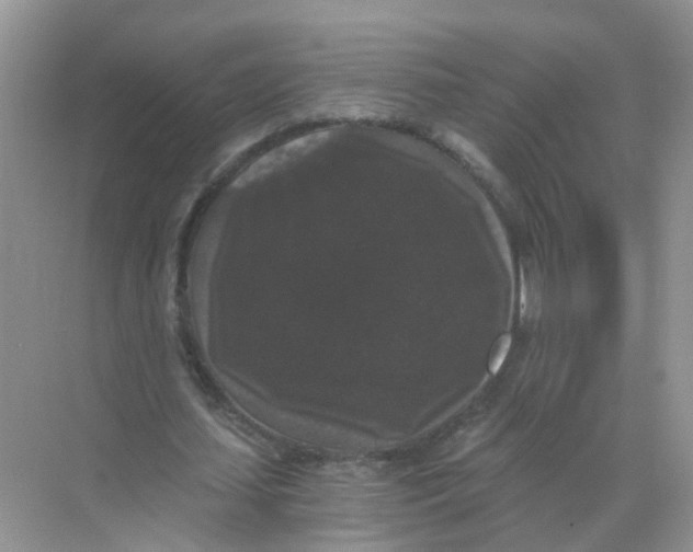 X0000068300627200605122005