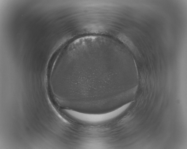 X0000068300630200605122005