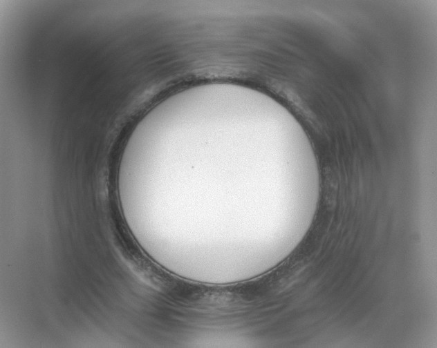 X0000068300631200605122005