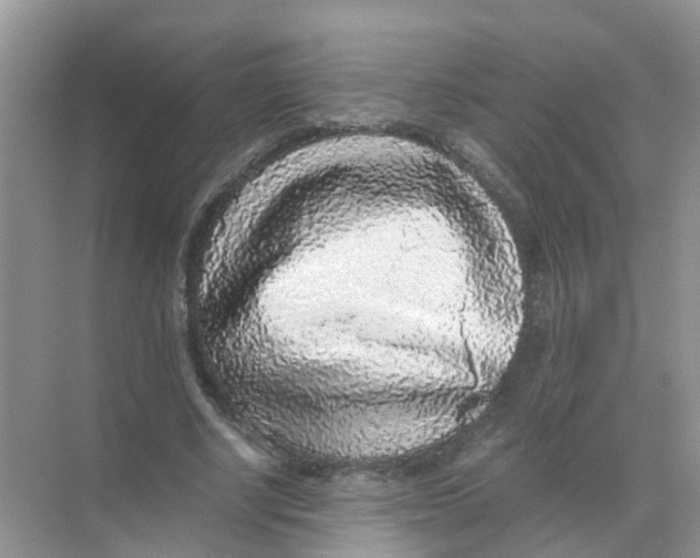 X0000068300634200605122005