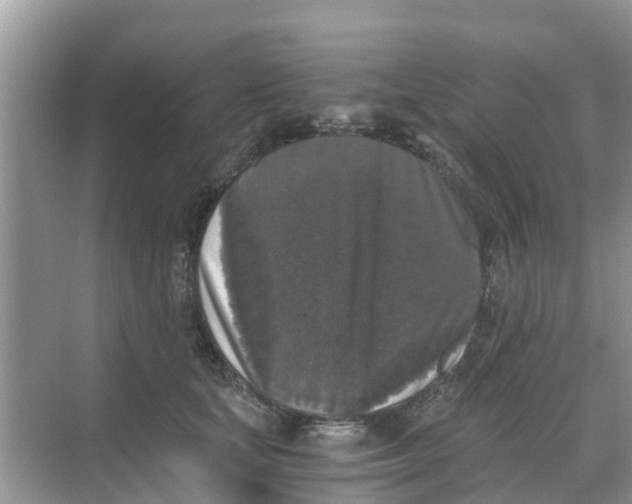 X0000068300659200605122005