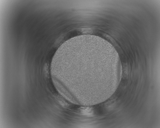 X0000068300667200605122005
