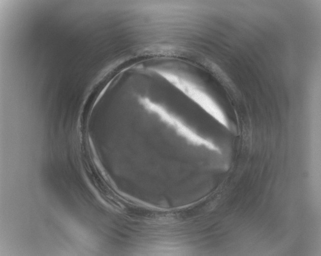 X0000068300674200605122004