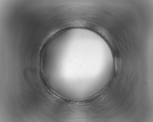 X0000068300675200605122004