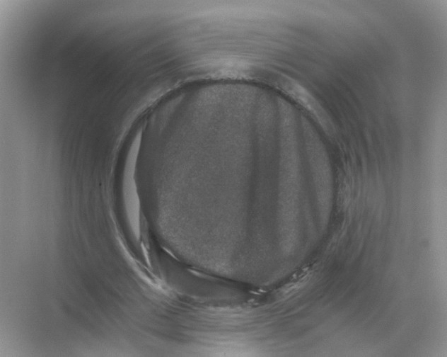 X0000068300677200605122004