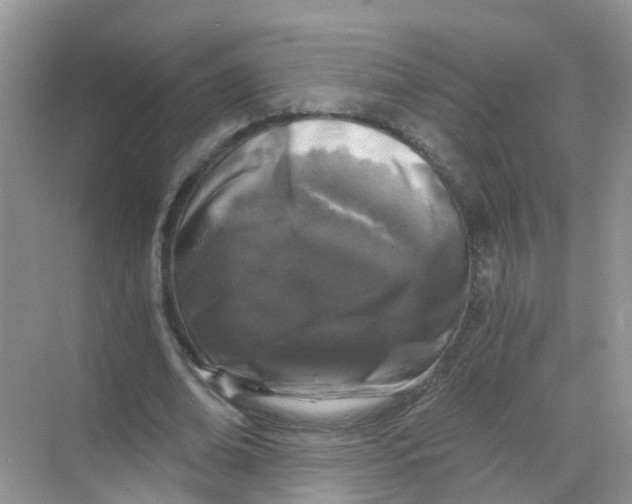 X0000068300678200605122004