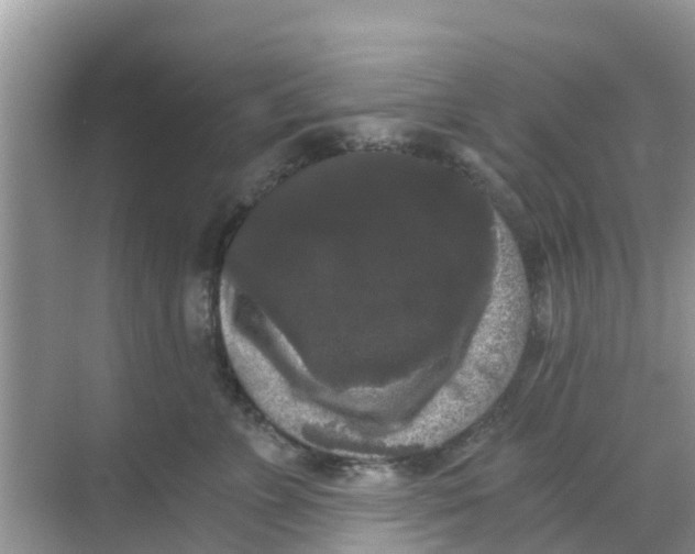 X0000068300715200605122004