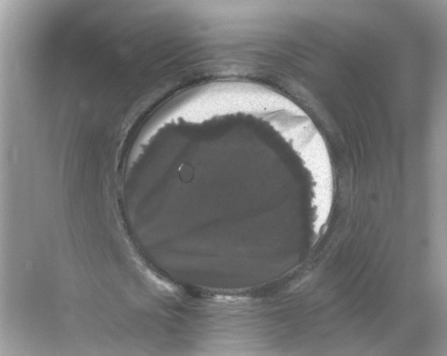X0000068300721200605122003