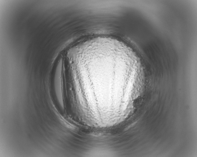 X0000068300725200605122003