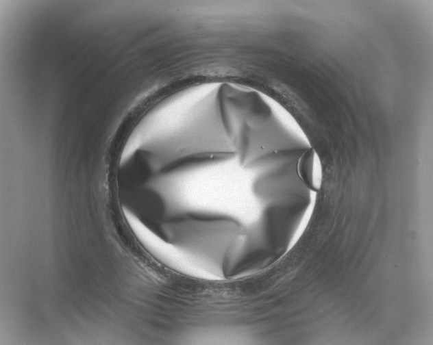 X0000068300727200605122003
