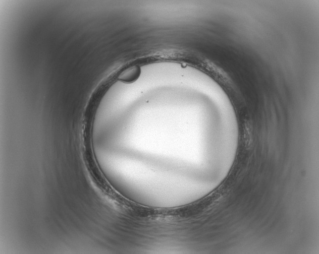 X0000068300730200605122003