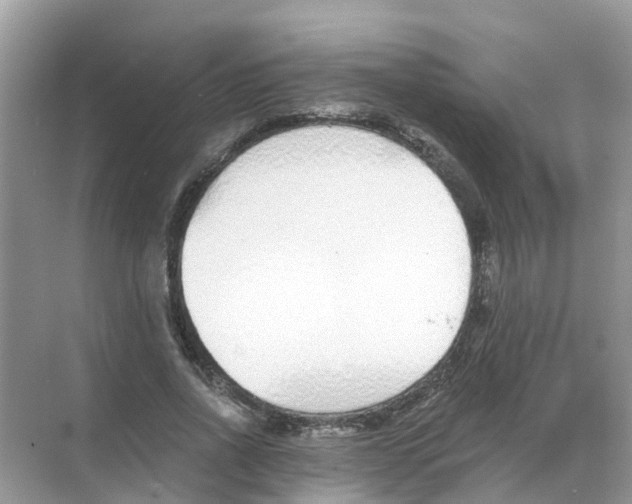 X0000068300734200605122003