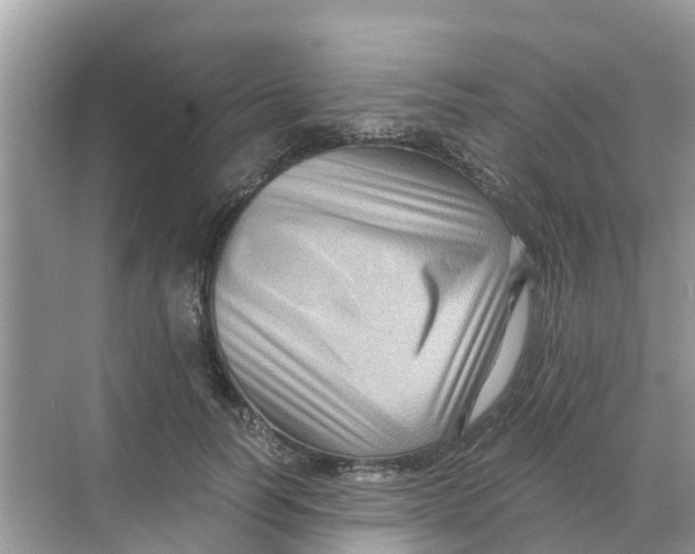 X0000068300746200605122003