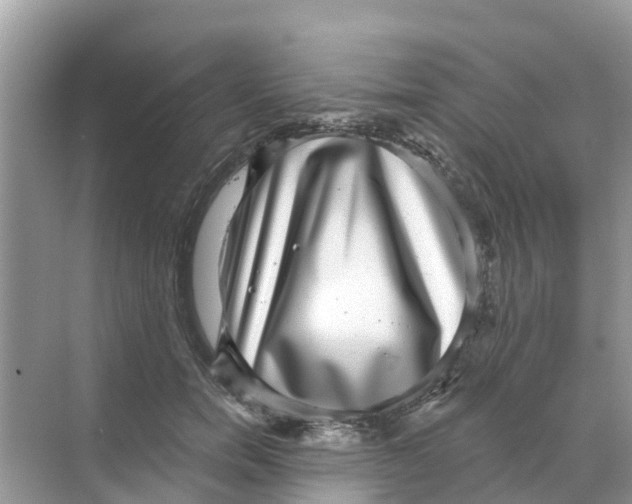 X0000068300750200605122003
