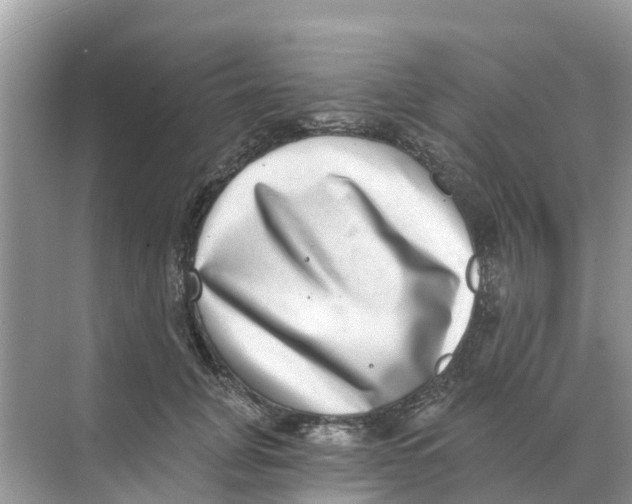X0000068300751200605122003