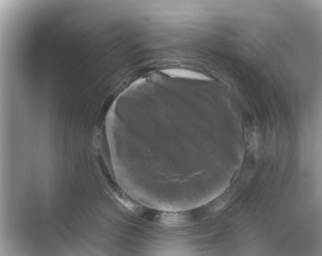 X0000068300766200605122004