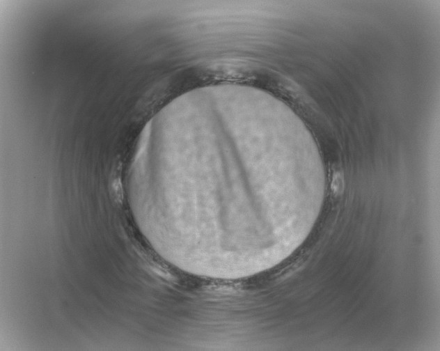 X0000068300771200605122003