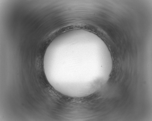 X0000068300773200605122003