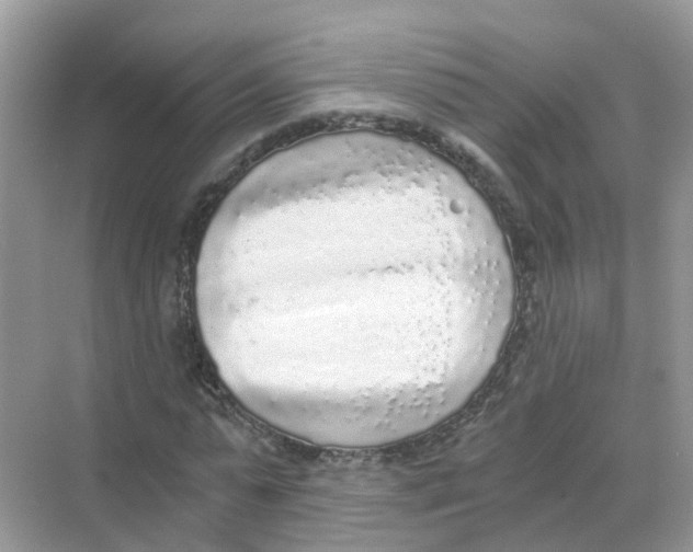X0000068300775200605122003