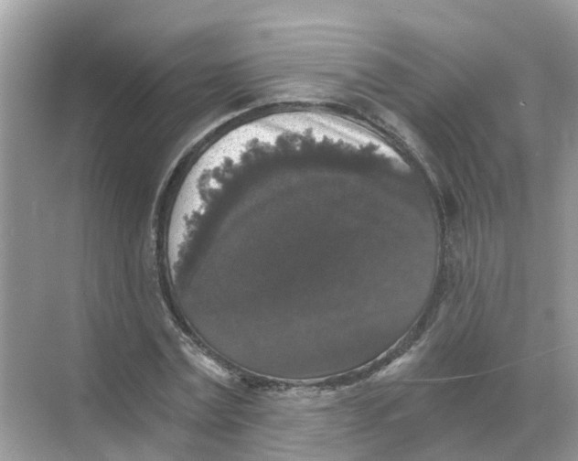X0000068300779200605122003