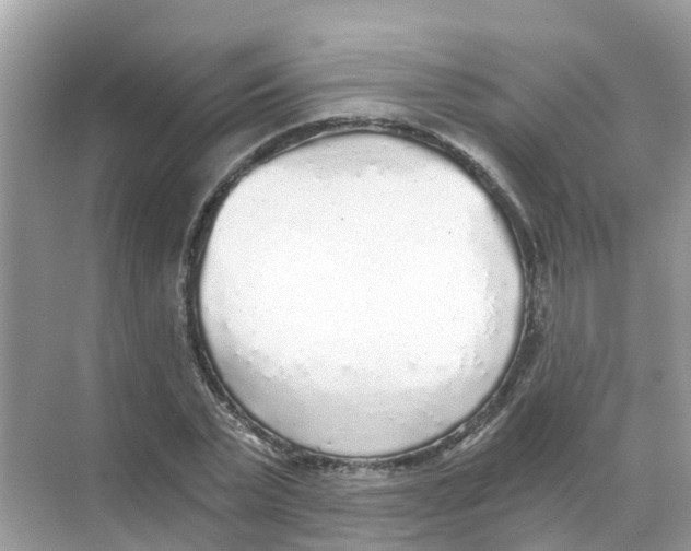 X0000068300783200605122003