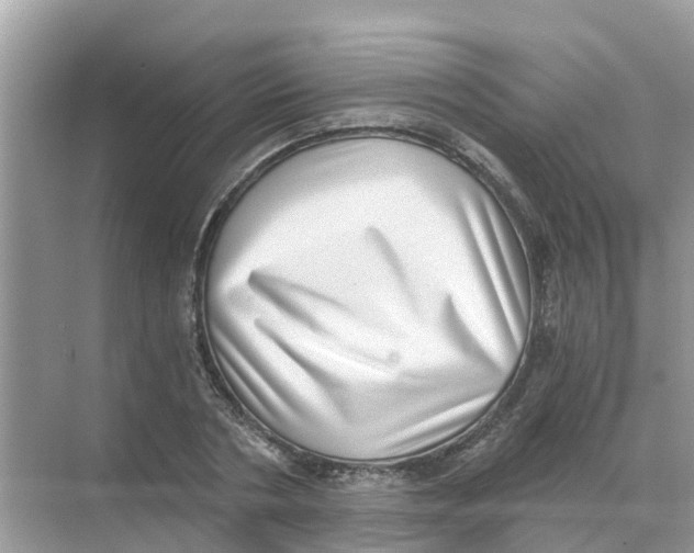 X0000068300786200605122003