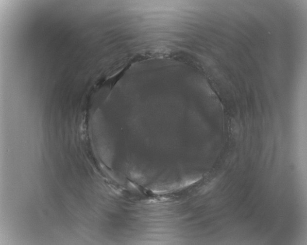 X0000068300818200605122001