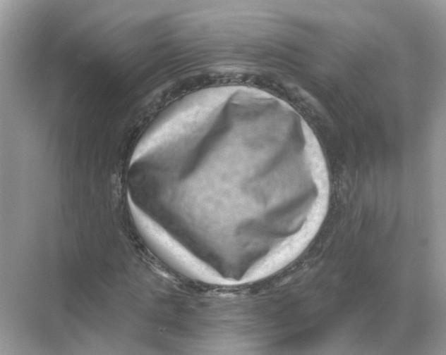 X0000068300821200605122001