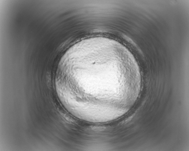 X0000068300825200605122001