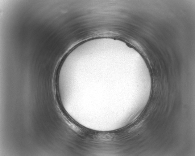 X0000068300843200605122002