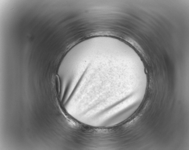 X0000068300849200605122002