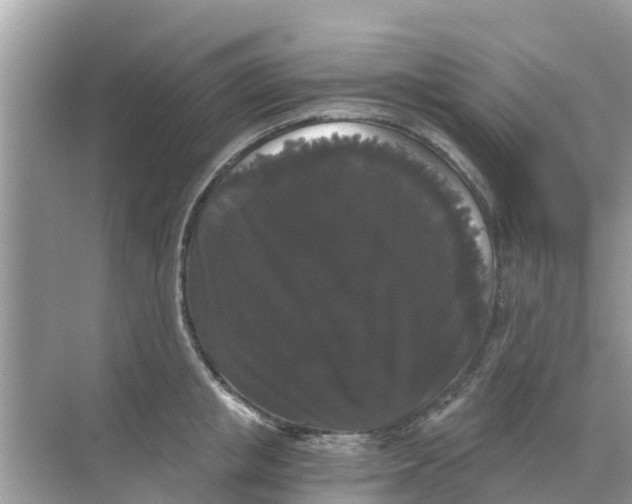 X0000068300853200605122002