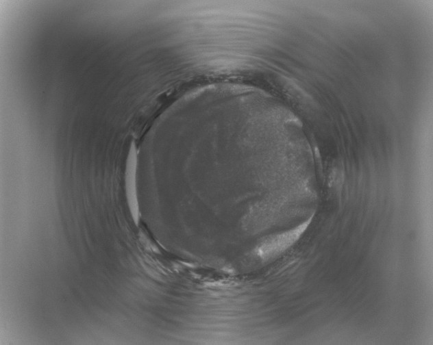 X0000068300868200605122001