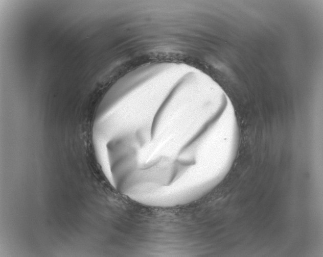 X0000068300870200605122001
