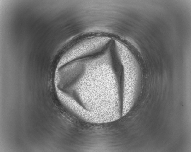 X0000068300872200605122001
