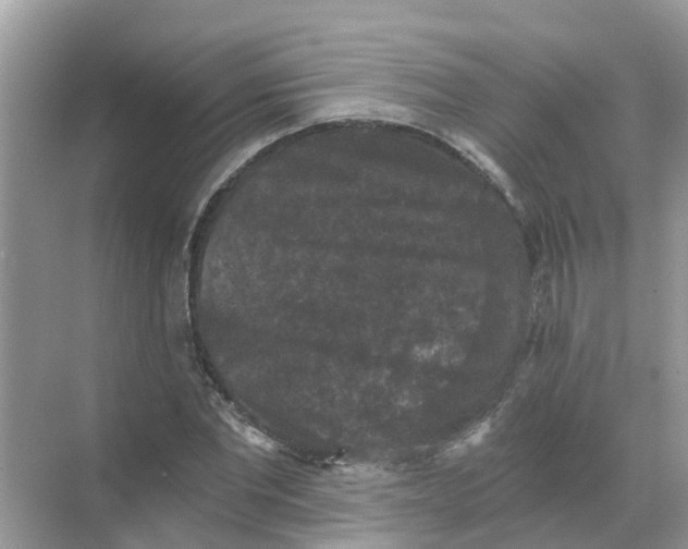 X0000068300877200605122001