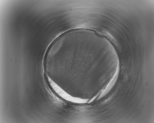 X0000068300892200605122001