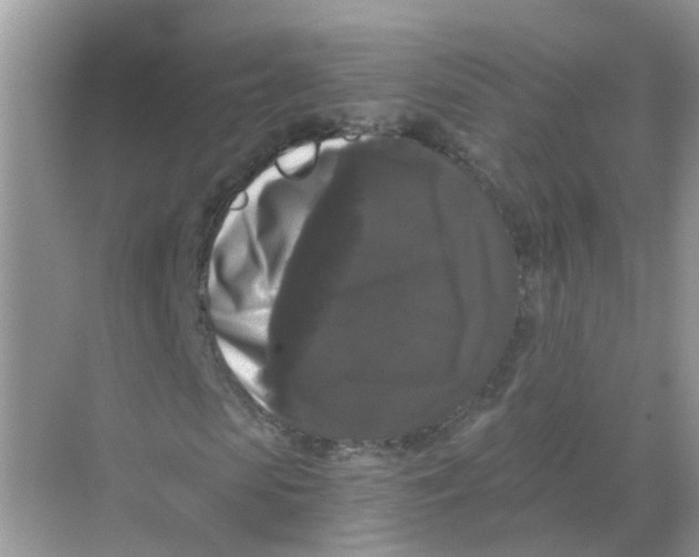 X0000068300913200605122000