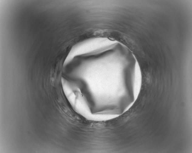 X0000068300914200605122000