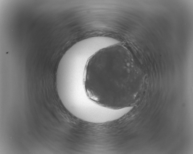 X0000068300916200605122000