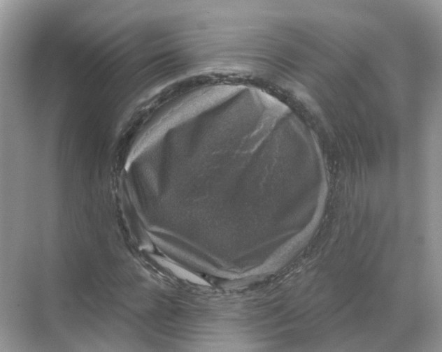 X0000068300920200605122000