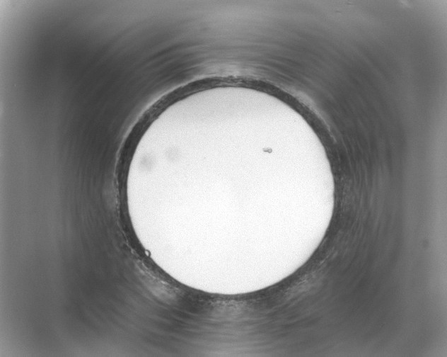 X0000068300927200605122000
