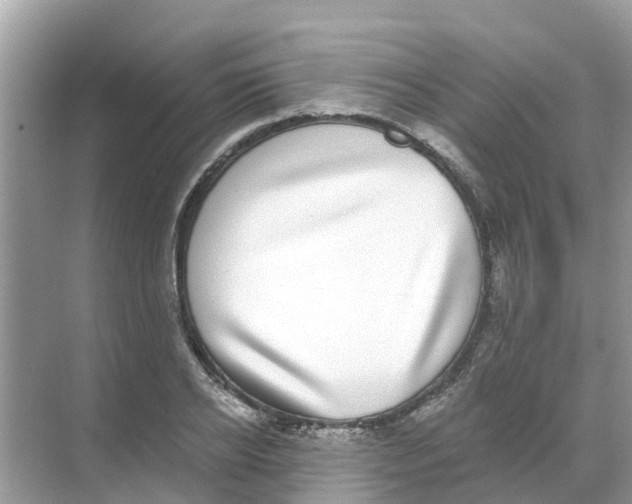 X0000068300934200605122000