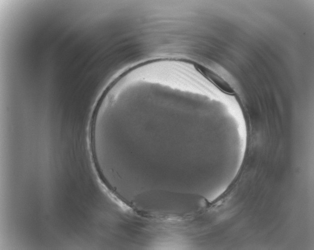 X0000068300958200605122000
