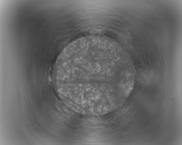 X0000068300962200605122000