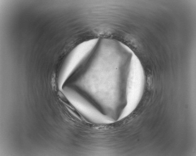 X0000068300963200605122000